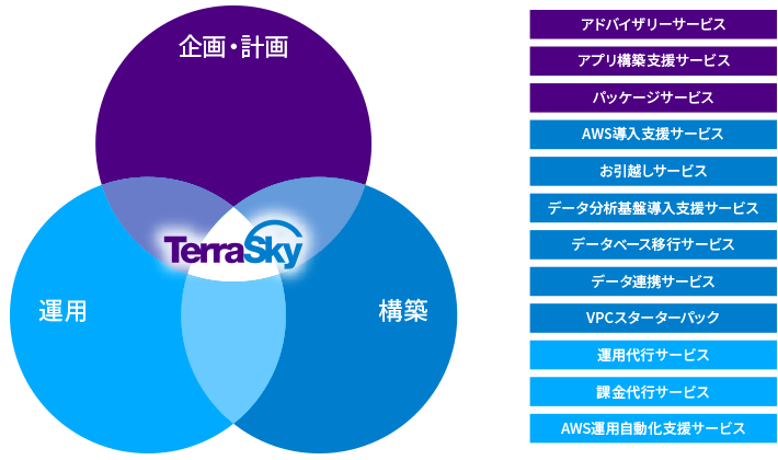 テラスカイの強み