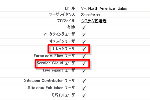 ユーザ  照州 海 ~ Salesforce - Developer Edition (1)