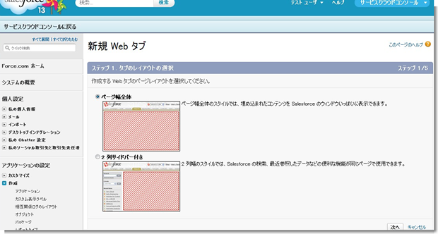 新規 Web タブ ~ Salesforce - Developer Edition_0