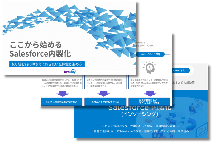 ここから始めるSalesforce内製化