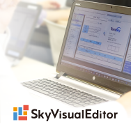 Salesforceをもっと便利にする「SkyVisualEditor」ご紹介セミナー【ウェビナー】