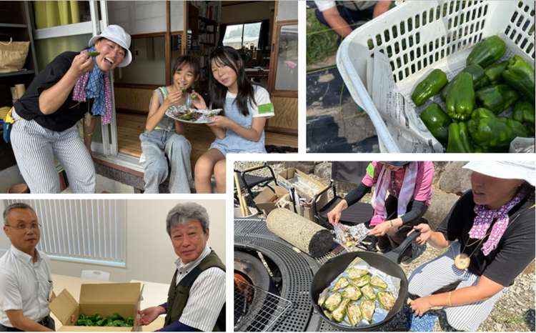 テラスカイ、上越市の農福連携事業で栽培した野菜をこども食堂へ提供.png